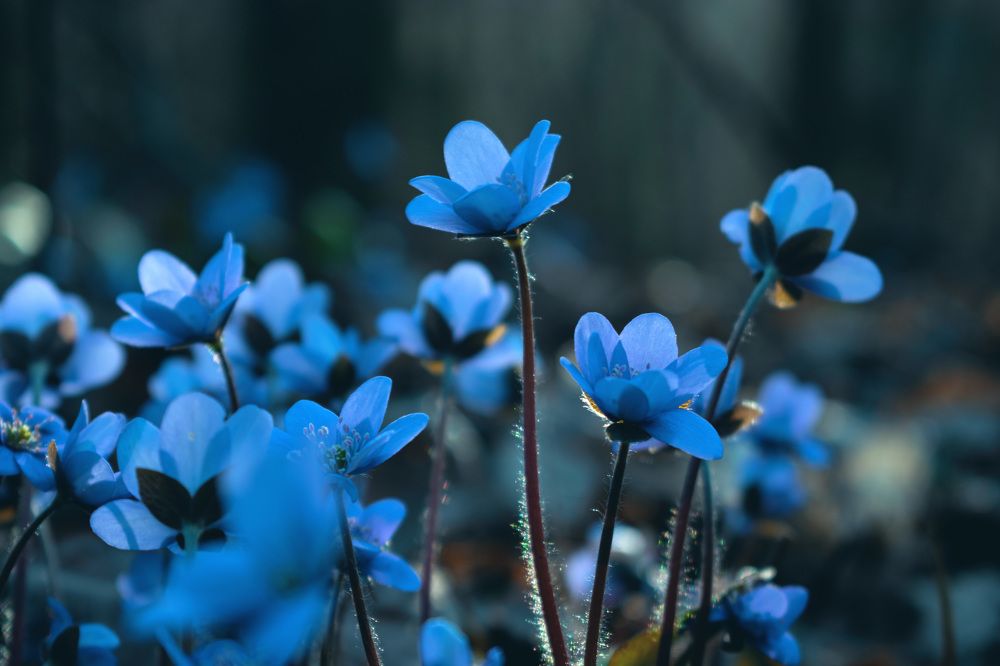 Фотография автора Алексей