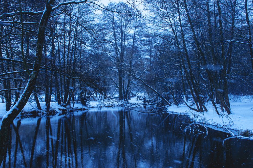 Фотография автора Алексей