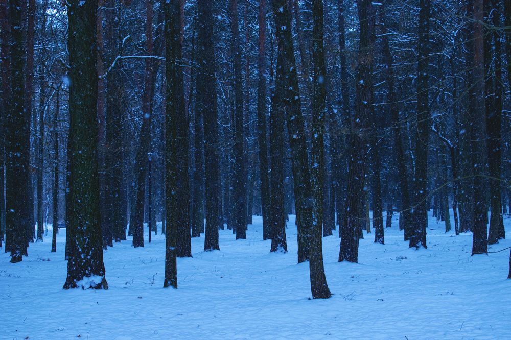 Фотография автора Алексей