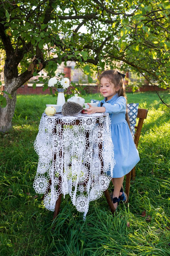 Фотография автора Ольга Степанова