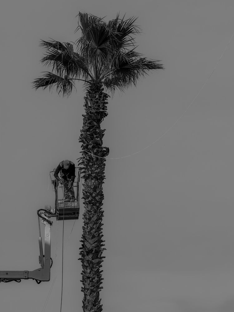 Photograph by Alessio D Addato