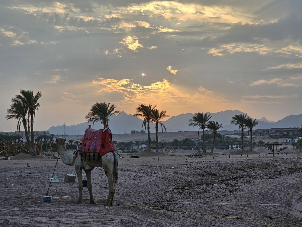 Photograph by Edmund Randal