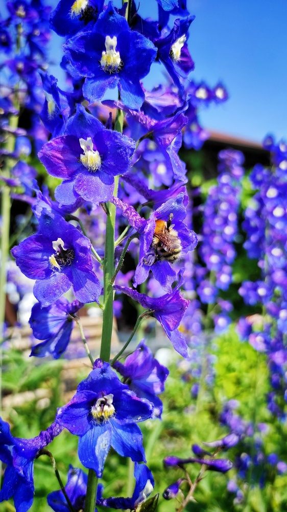 Photograph by Наталья Рау