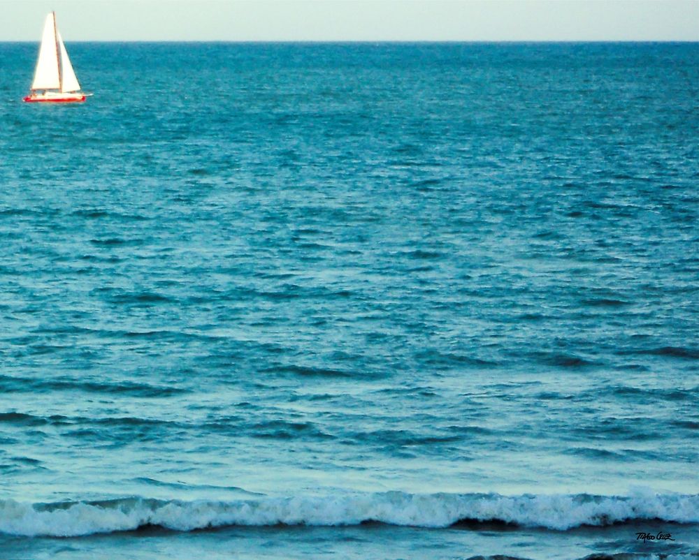 Фотография автора Tiago Cruz