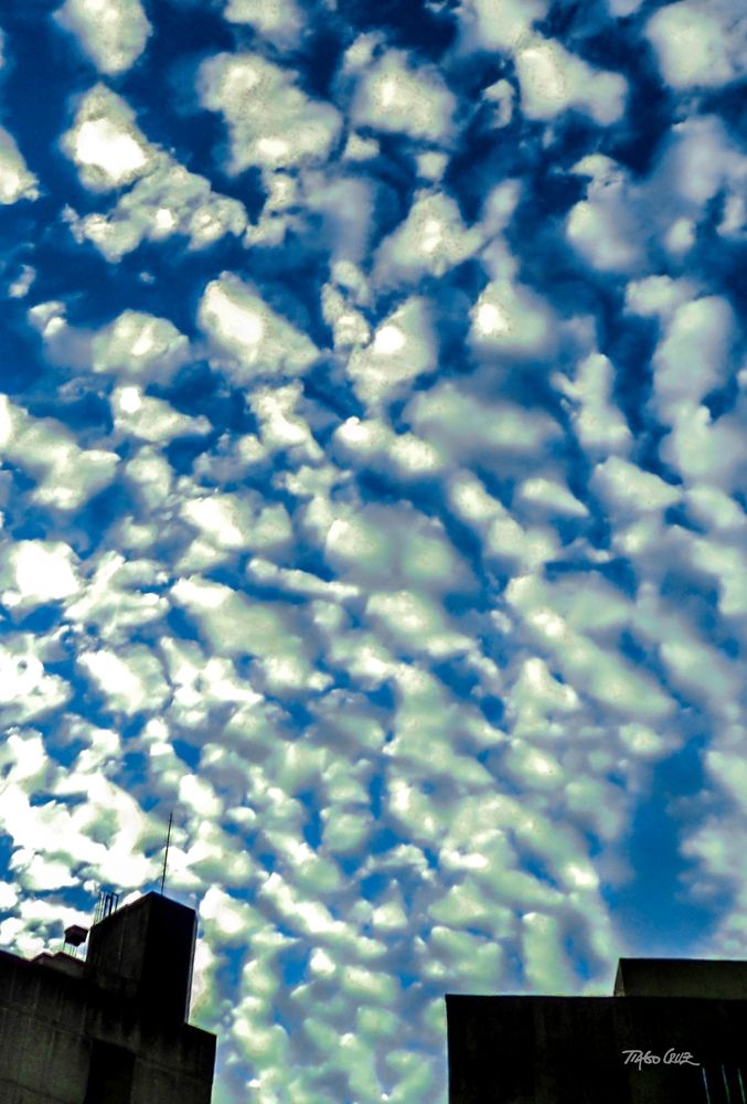 Фотография автора Tiago Cruz