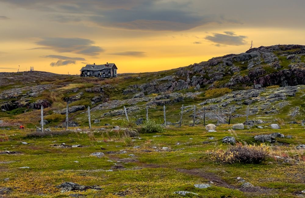 Photograph by Елена Данченко