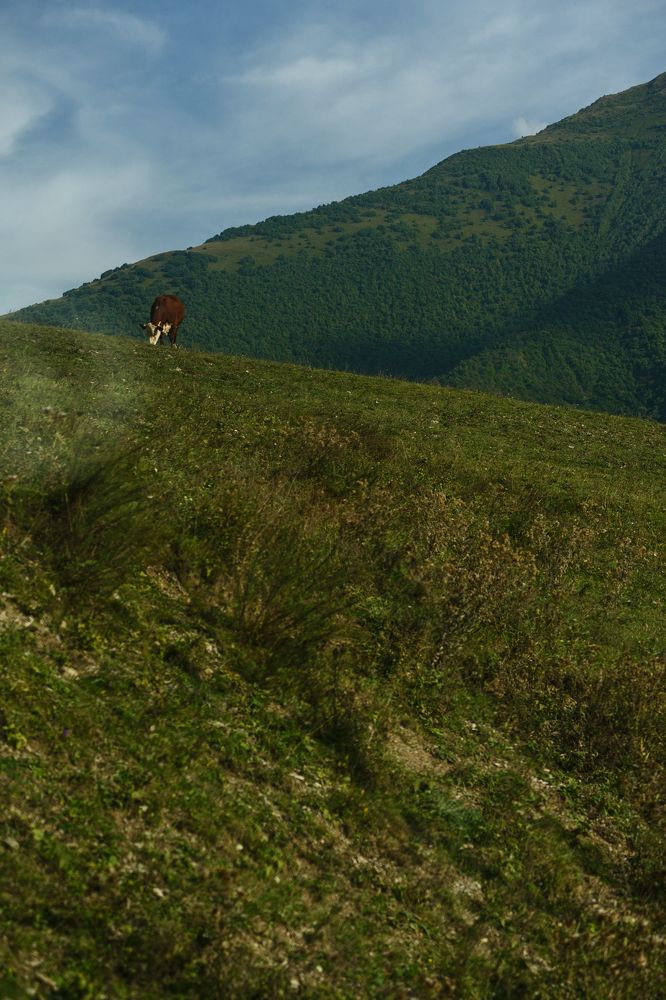 Photograph by Владимир Леликов-Кузьменко