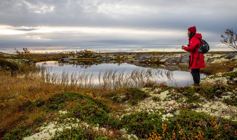 Photograph by Елена Данченко