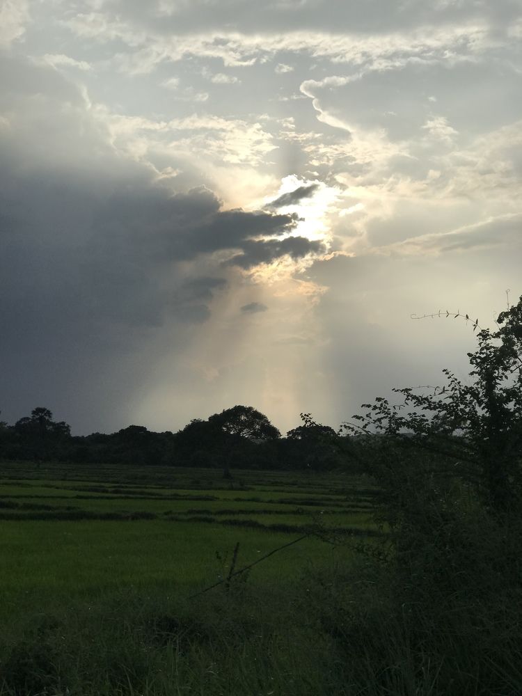 Фотография автора Christy Jerry