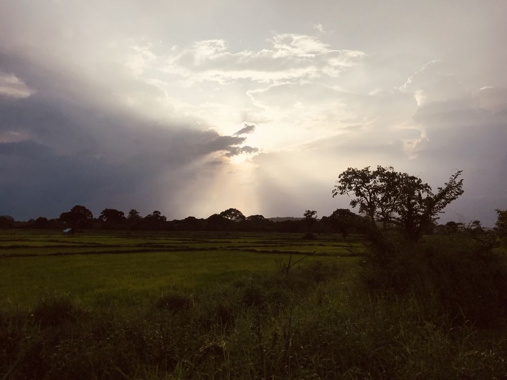 Фотография автора Christy Jerry