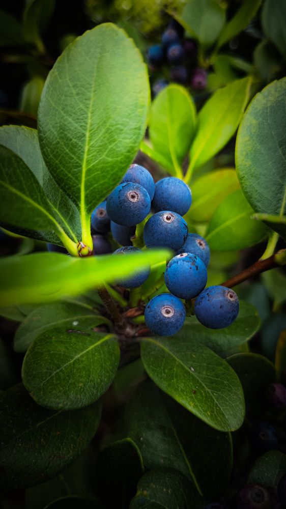 Photograph by Иван Егупов