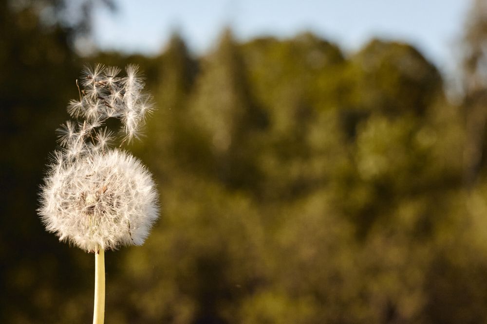 Photograph by Алексей Гунёв