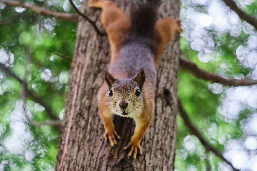 Photograph by Алексей Малов