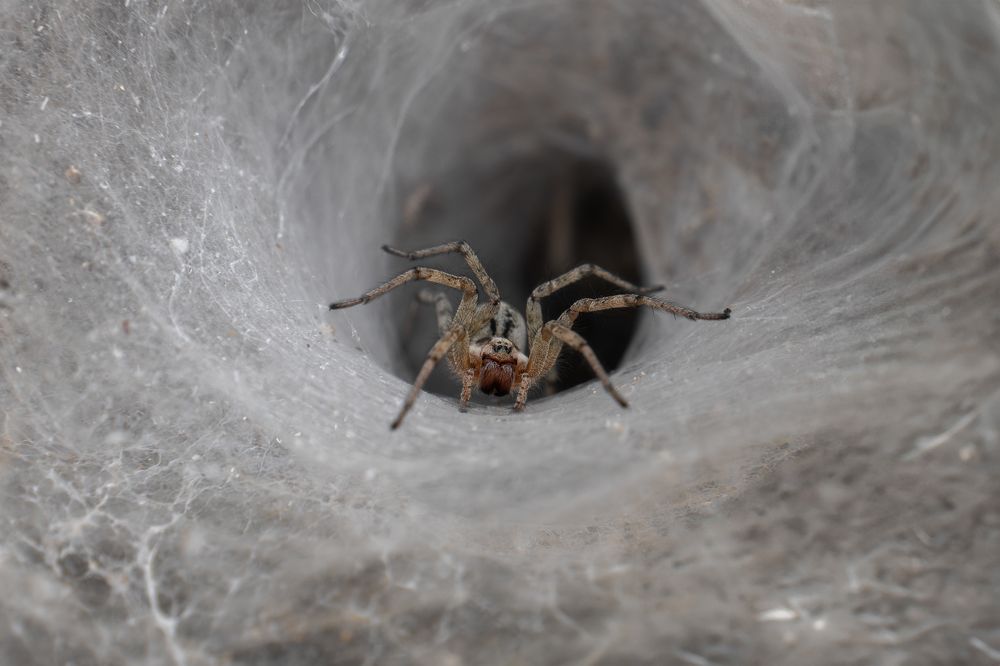 Photograph by Alexander Semenko