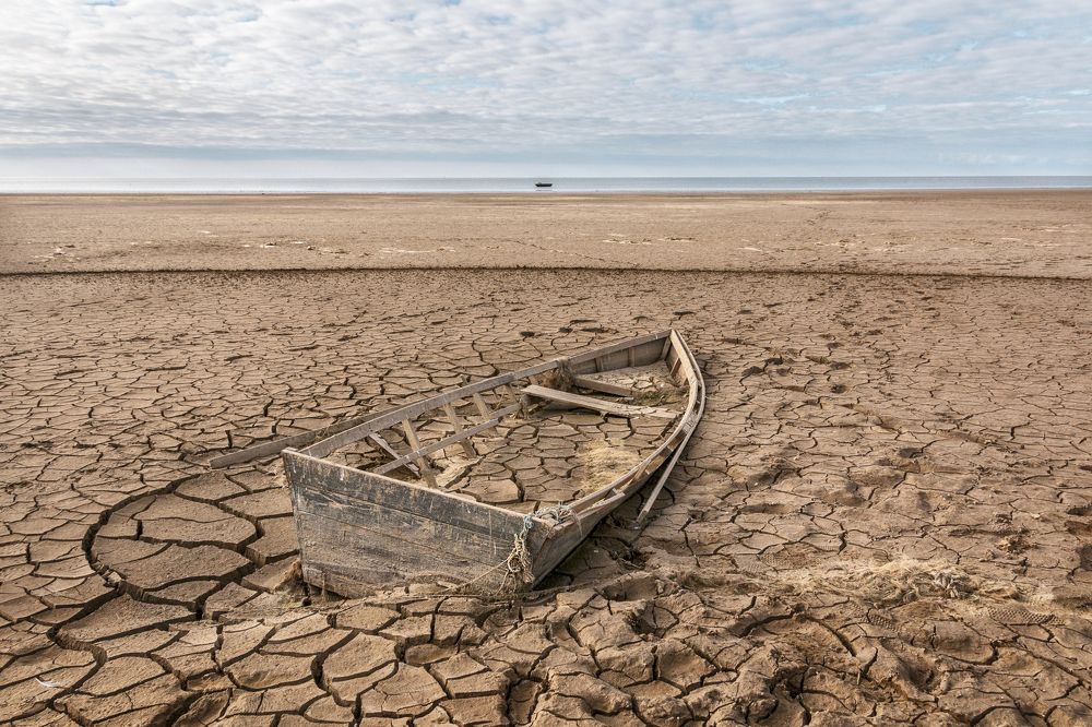 Photograph by Ирина Васильева