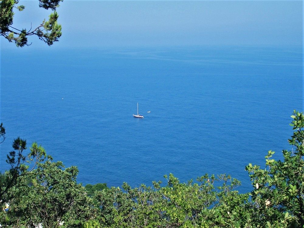 Photograph by Мила Милая