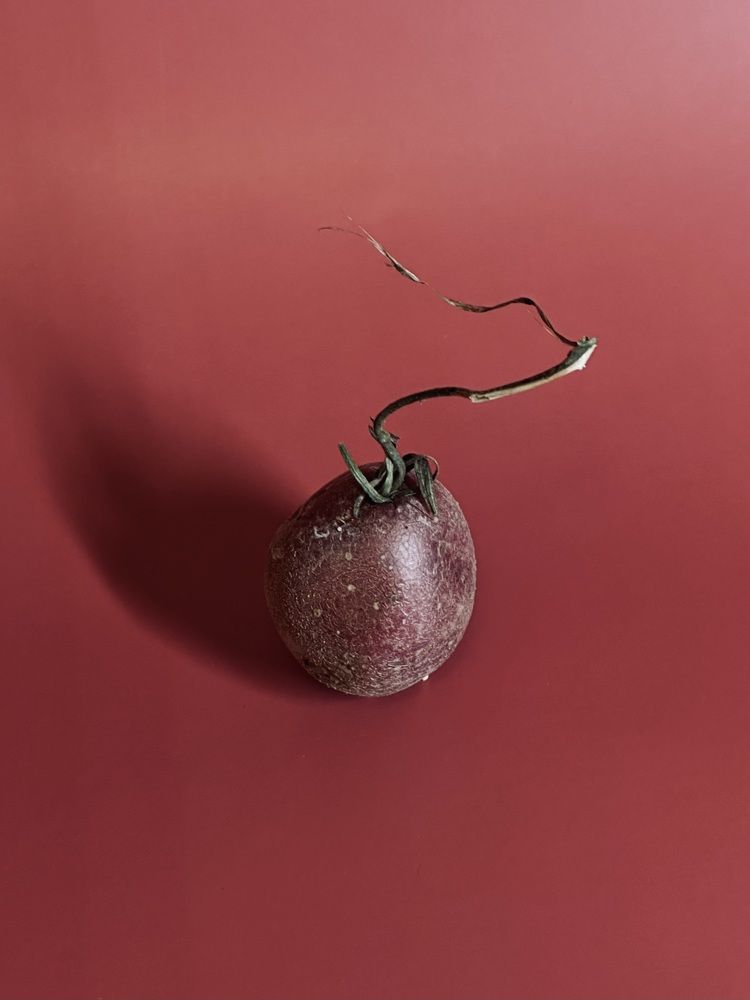 Photograph by Наталья Сережко