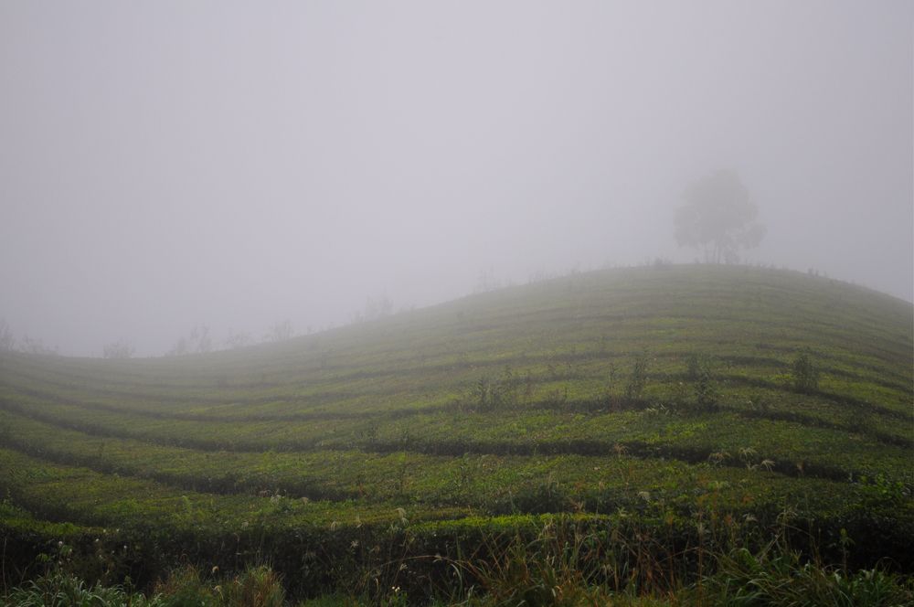 Photograph by Ricardo Kimmich