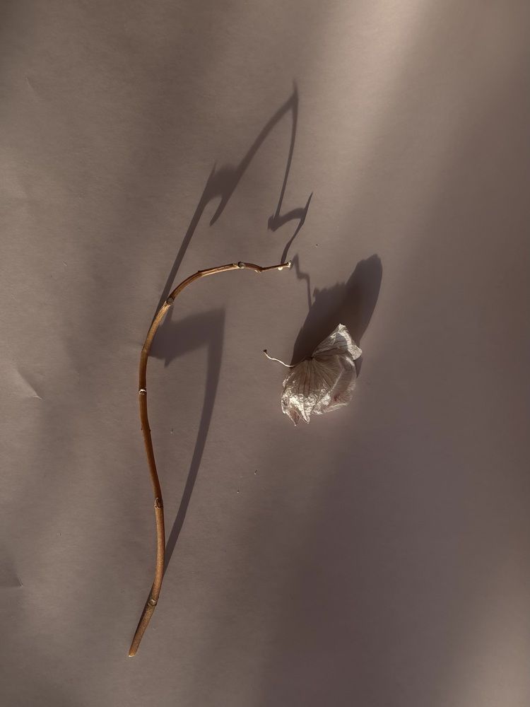 Photograph by Наталья Сережко