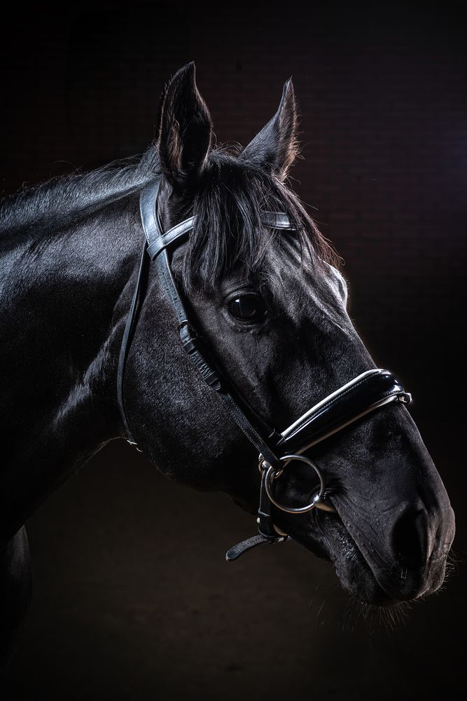 Photograph by Вячеслав Залитко