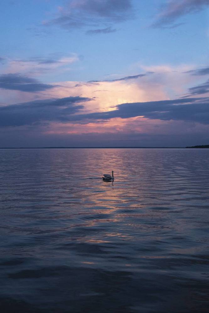 Фотография автора Ольга Никанович