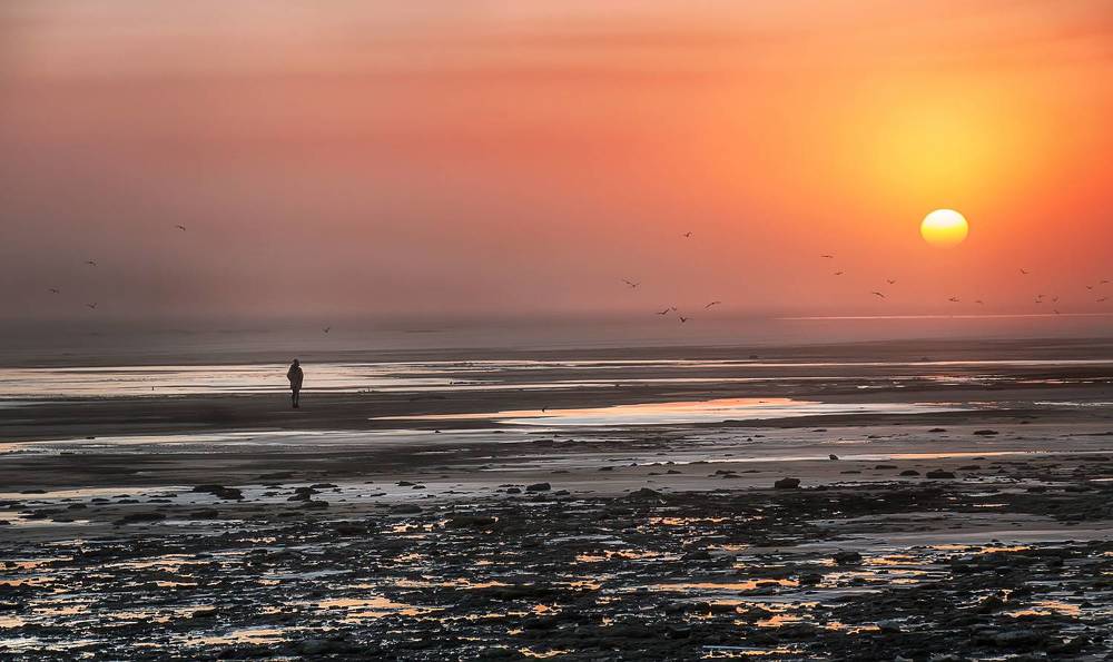 Photograph by Ирина Васильева