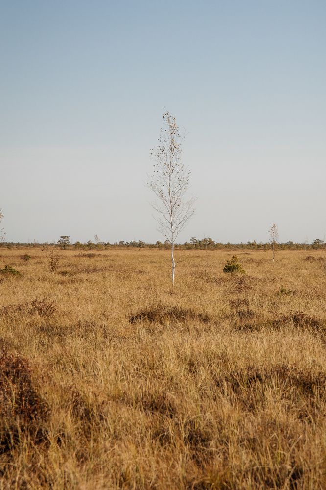 Фотография автора Ольга Никанович