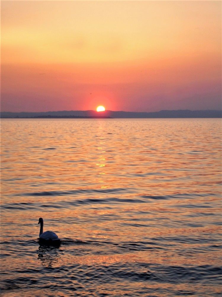 Photograph by Мила Милая