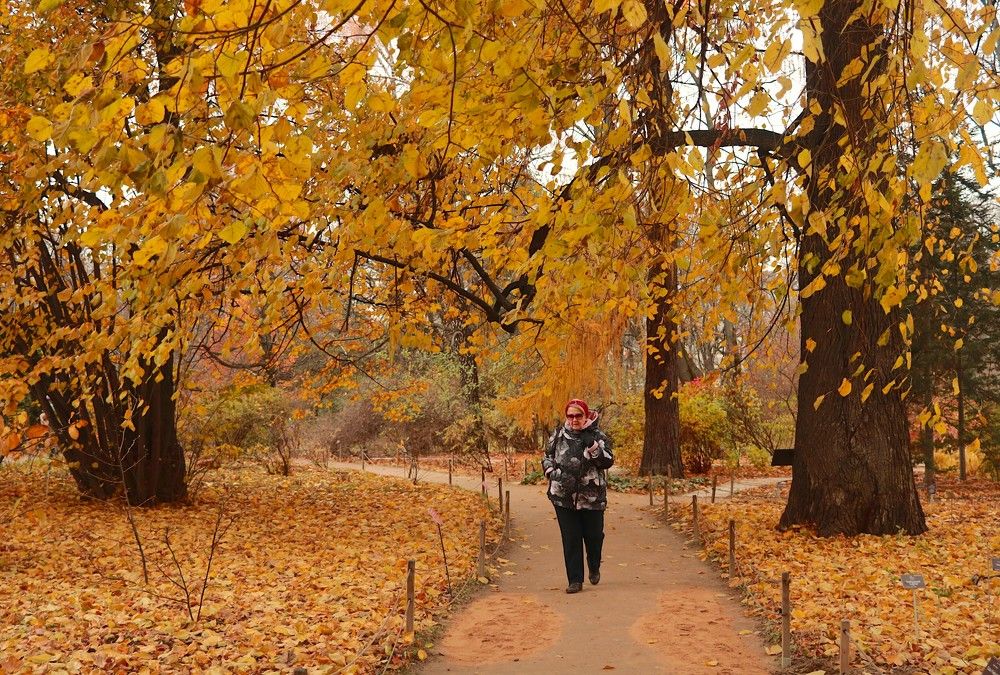 Photograph by Гагик Саркисян