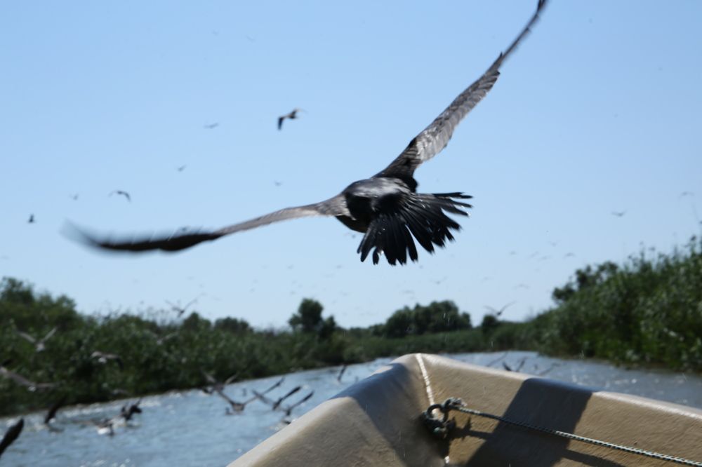 Фотография автора ira bolshakova