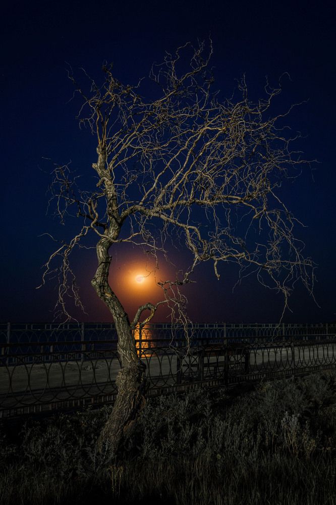 Photograph by Ирина Васильева