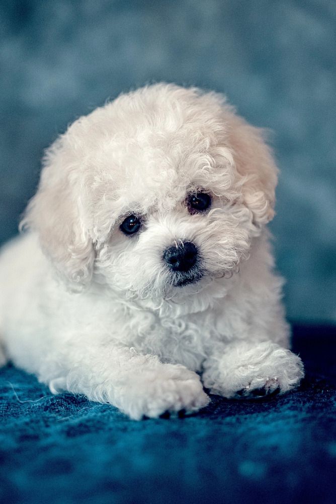 Photograph by Милана Бабченко