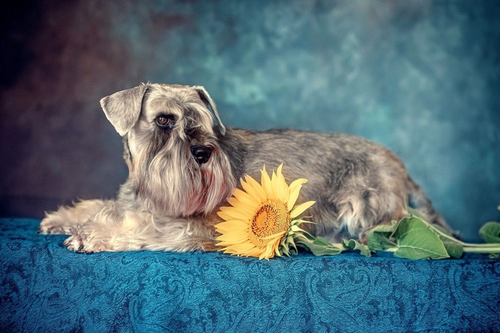 Photograph by Милана Бабченко