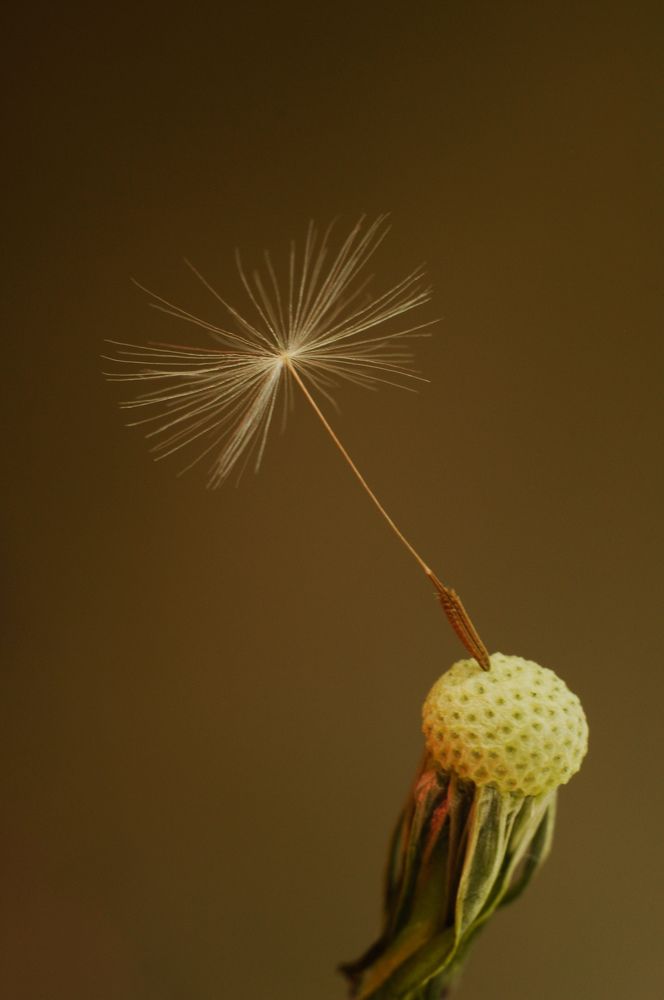 Photograph by Ирина Сеимова