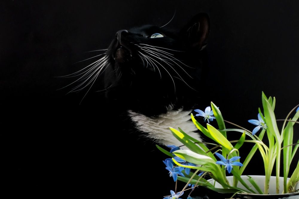 Photograph by Olga Asson