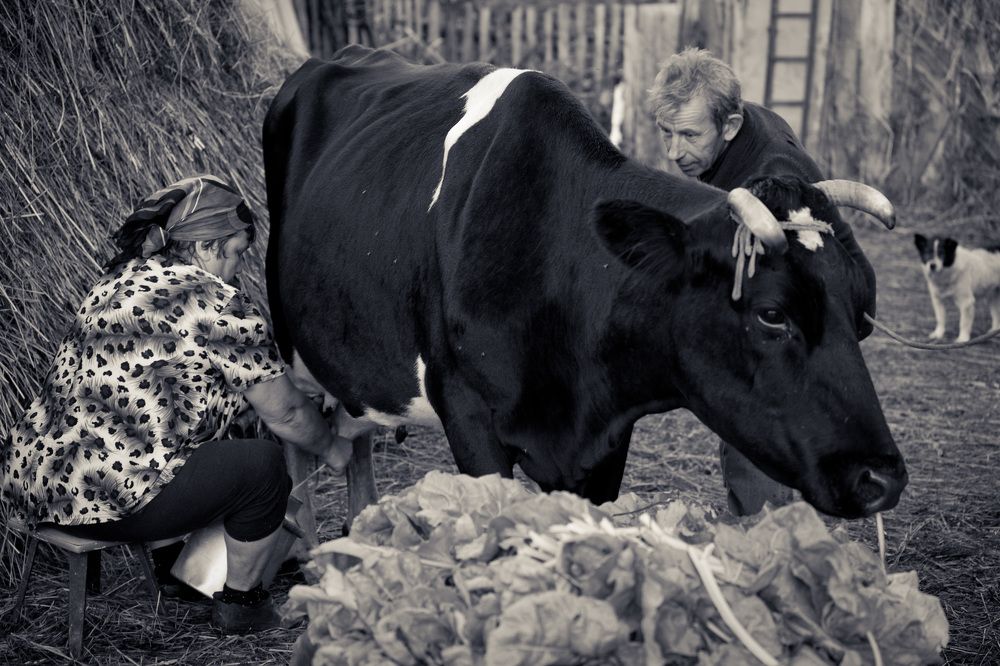 Фотография автора ira bolshakova