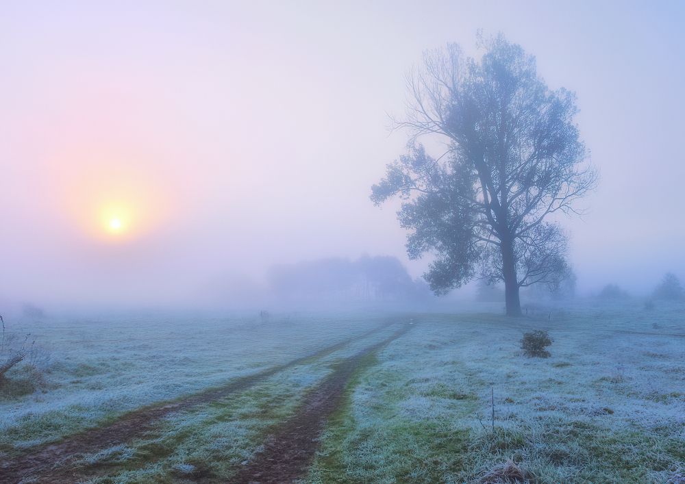 Photograph by Владимир