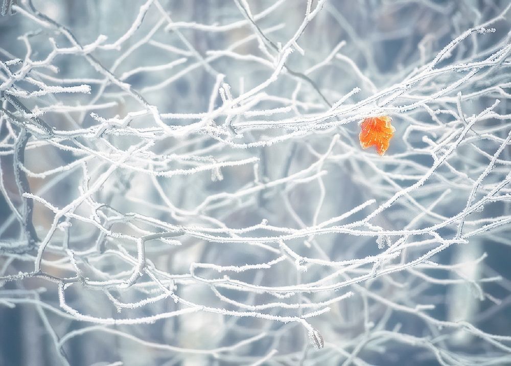 Photograph by Владимир