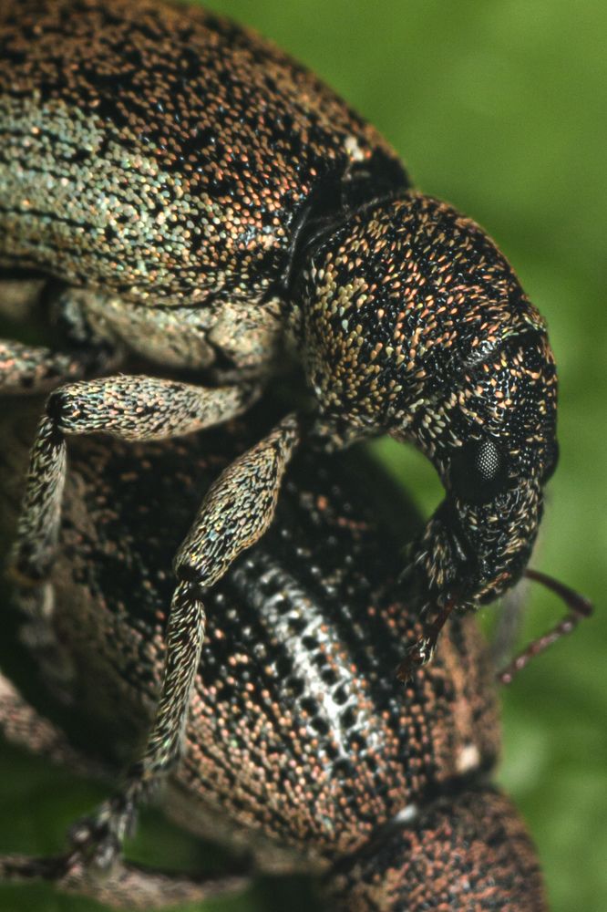 Photograph by Ирина Сеимова