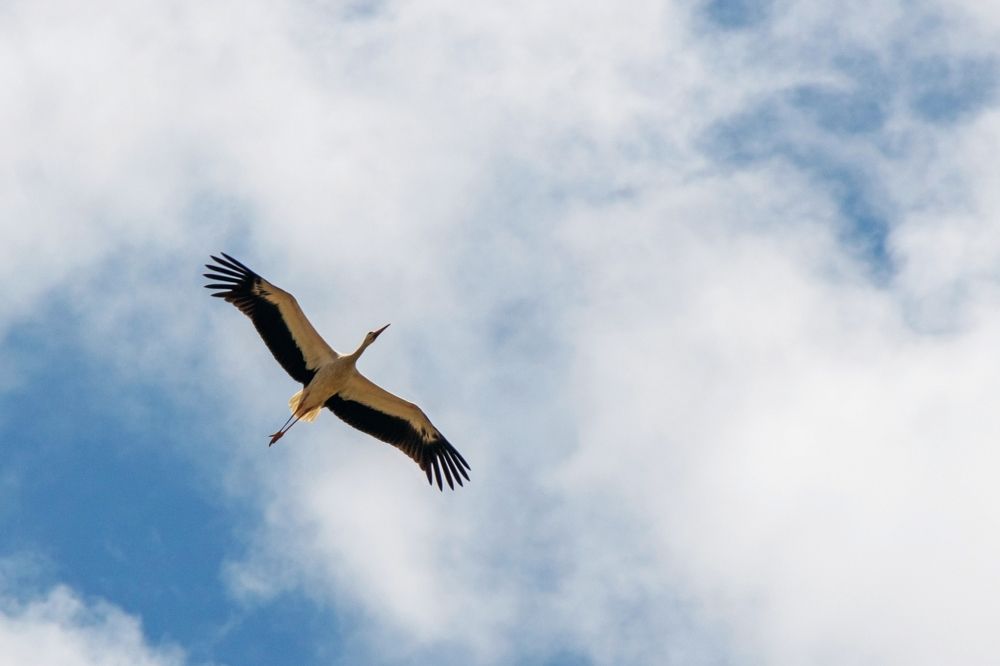 Photograph by Вадим Городницкий