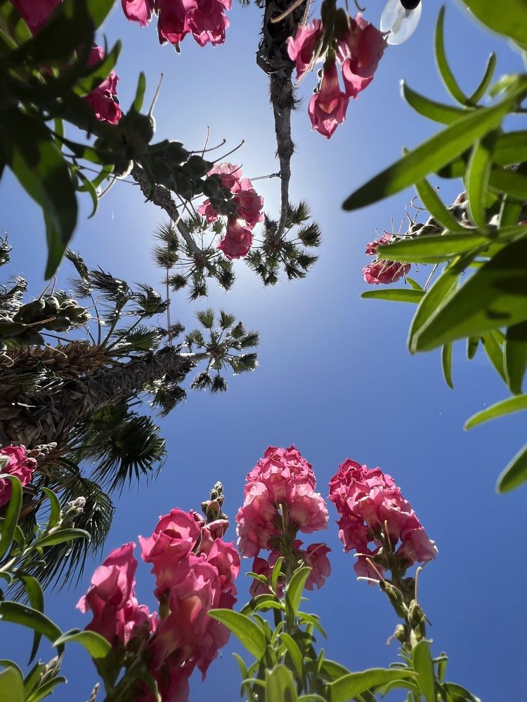 Photograph by Ксения Рош