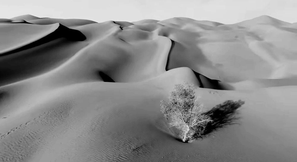 Photograph by Лидия Кашуро