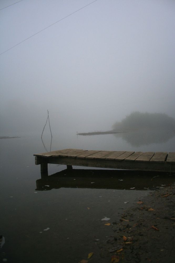 Photograph by Дарья Вихорева