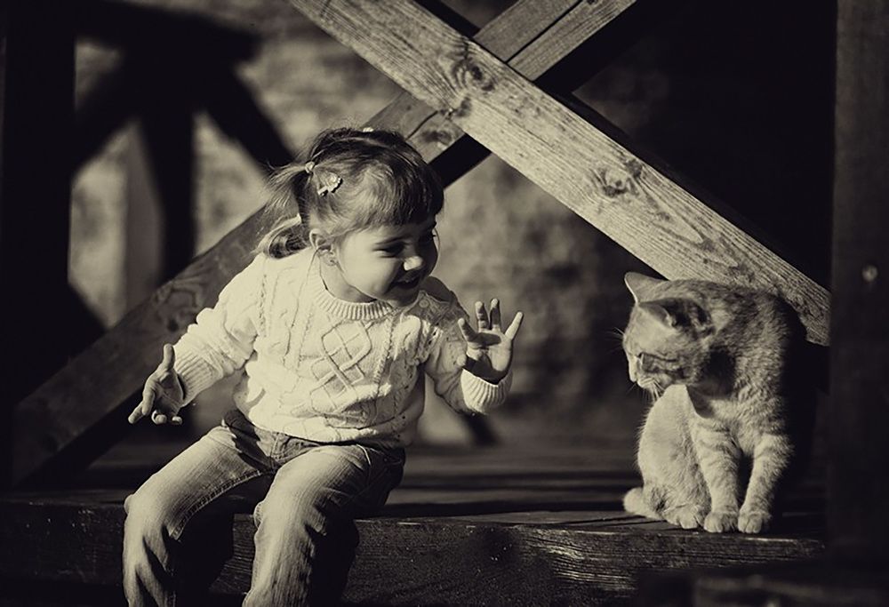 Фотография автора ira bolshakova