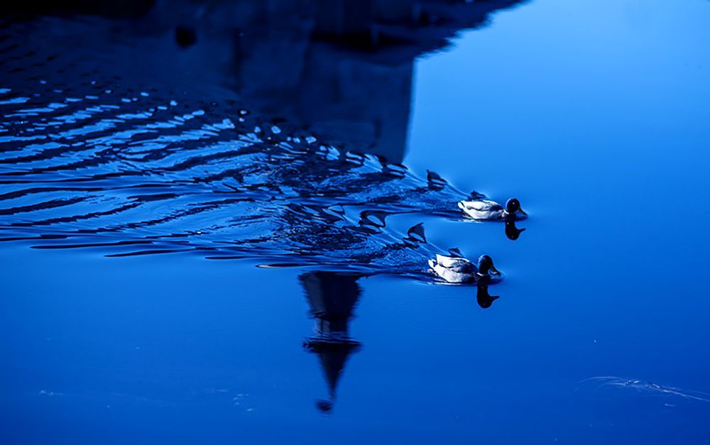 Фотография автора ira bolshakova