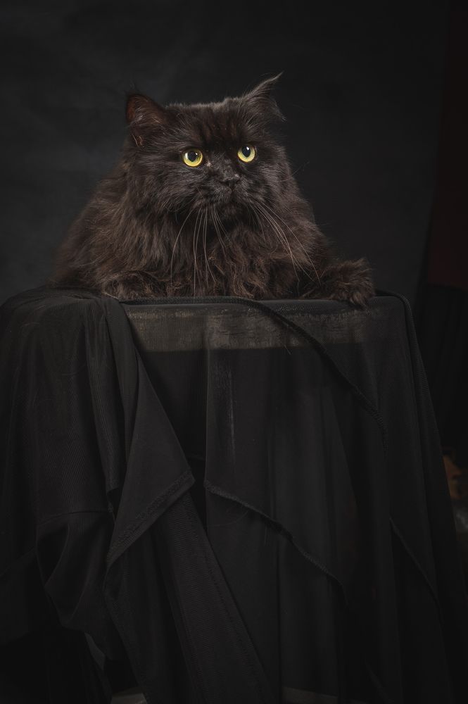 Photograph by Сергей Лексин