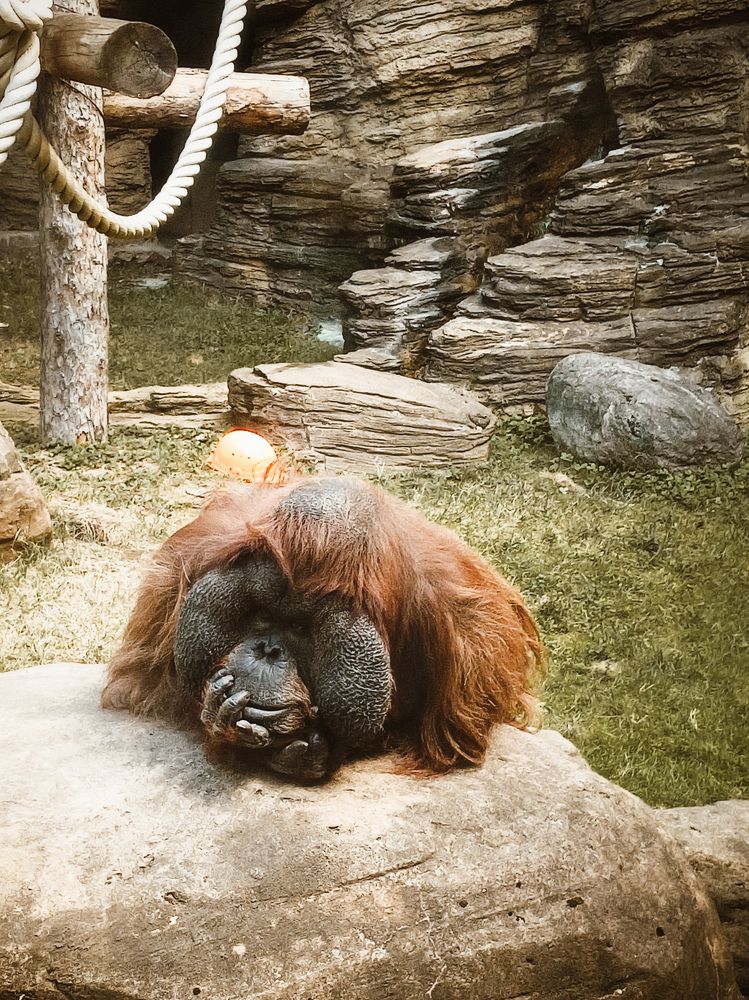 Фотография автора Дарина Фельдман