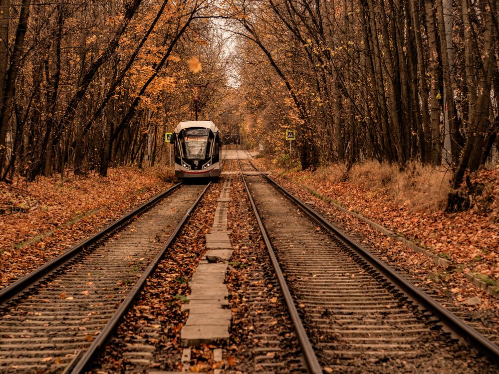Фотография автора Юрий Володин