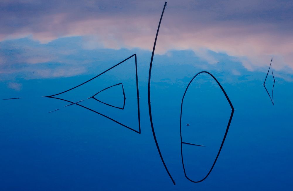 Фотография автора ira bolshakova