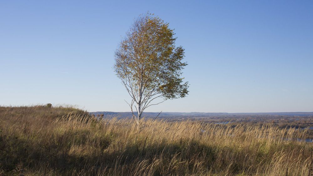 На семи ветрах